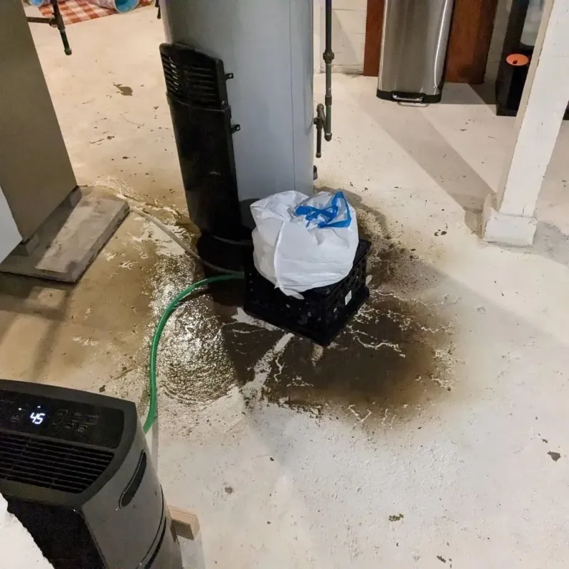 Sewage Backup Cleanup Service in Geauga County, OH
